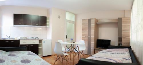 Kuchyň nebo kuchyňský kout v ubytování Studio Bobo