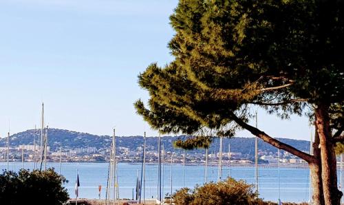 a group of sailboats on the water with a tree at Horizon Bleu in Bouzigues