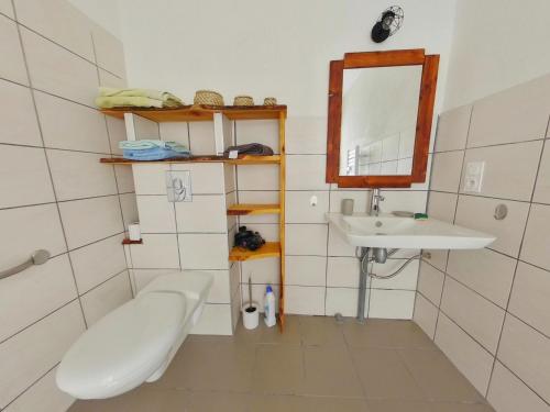W łazience znajduje się umywalka, toaleta i lustro. w obiekcie Appartement entier T4 à Jausiers w mieście Jausiers
