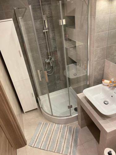 een badkamer met een douche en een wastafel bij Dyrekcyjna Apartment in Wrocław