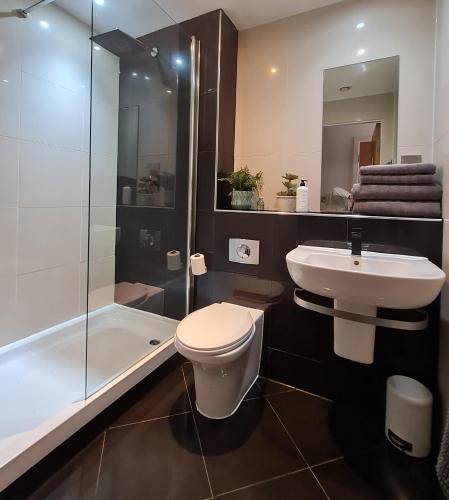 a bathroom with a toilet and a sink and a shower at Sheffield City Centre Studio in Sheffield
