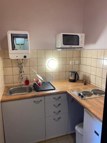 Η κουζίνα ή μικρή κουζίνα στο Apartment Stará Pošta