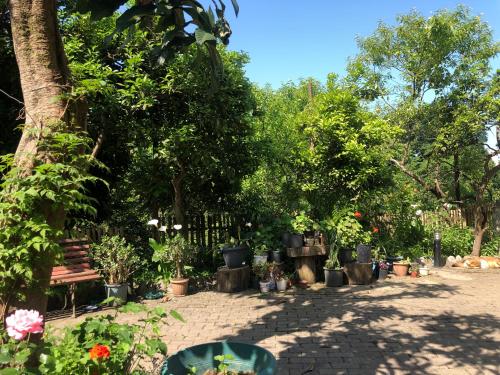 Zahrada ubytování Villa la familia