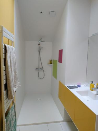 une salle de bain avec un lavabo et une douche dans l'établissement Le Palmier, Maison de ville, 3 chambres et jardin/terrasse, à Blois