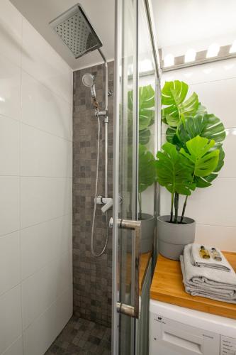 La salle de bains est pourvue d'une douche et d'une plante en pot. dans l'établissement SUPER CENTRAL - Sentier Studio - Air Conditioning, à Paris