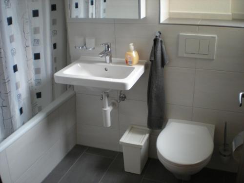 een badkamer met een wastafel en een toilet bij Parsennresidenz in Davos