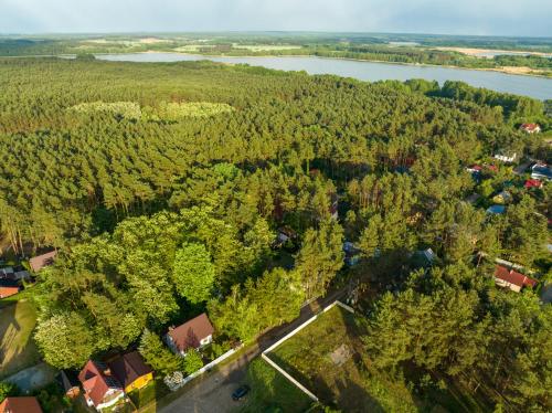 an aerial view of a forest and a river at Domek w Sosenkach in Osłonin