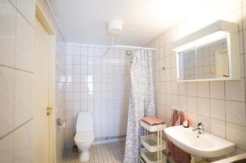 a bathroom with a toilet and a sink and a shower at Frost Longstay Sundellsgatan 3 C in Haparanda