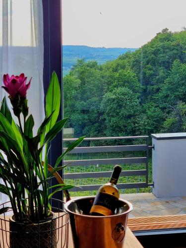 a bottle of wine in a bucket next to a window at Apartament Dąbrówka w Winiarni in Dąbrówka Szczepanowska
