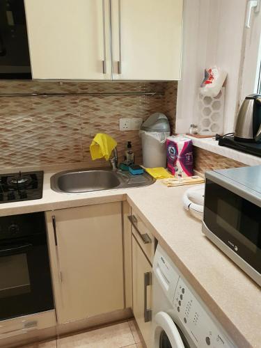 a kitchen with a sink and a dishwasher at Central Baku Luxury Apartment on Nizami Street in Baku