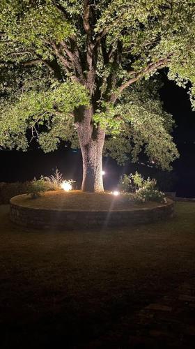 Κήπος έξω από το Il Colombaio Agriturismo