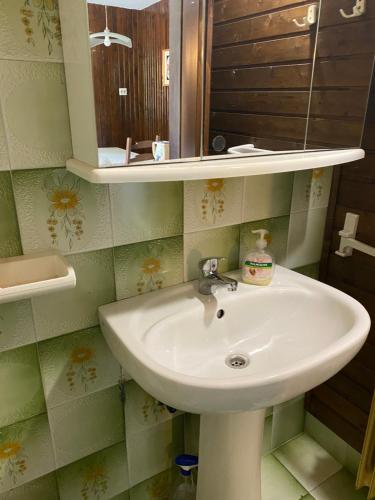 La salle de bains est pourvue d'un lavabo et d'un miroir. dans l'établissement Apartma Anton, à Kranjska Gora