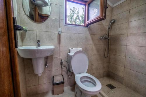 a bathroom with a toilet and a sink and a mirror at Holiday bungalows with pool in Plav