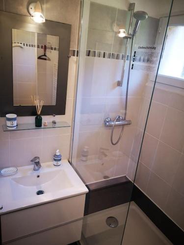 une salle de bain avec une douche et un lavabo et une douche dans l'établissement Porticcio : magnifique T2 piscine vue mer, à Grosseto-Prugna