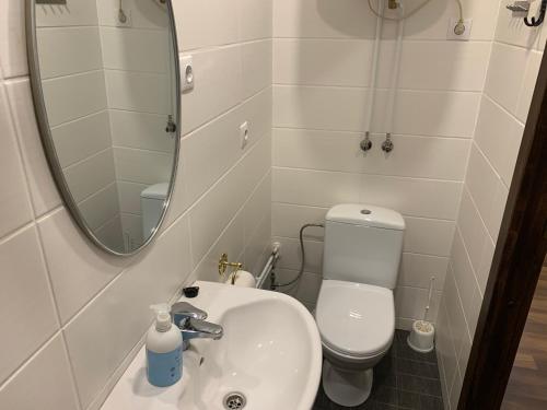 a bathroom with a sink and a toilet and a mirror at Delta 6 two big beds in Tartu