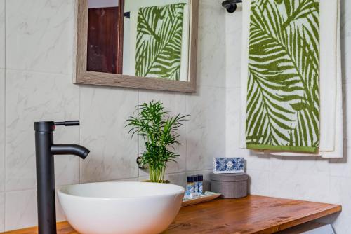 a bathroom with a sink and a plant on a wooden counter at La Maison in Anobra