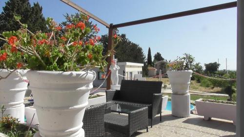 a patio with white potted plants and a chair at Bella Rosa hotel Cyprus in Coral Bay