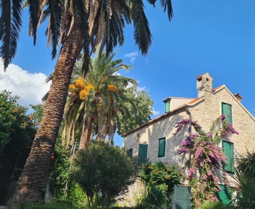 an old house with palm trees in front of it at Villa Cindro House in Podstrana