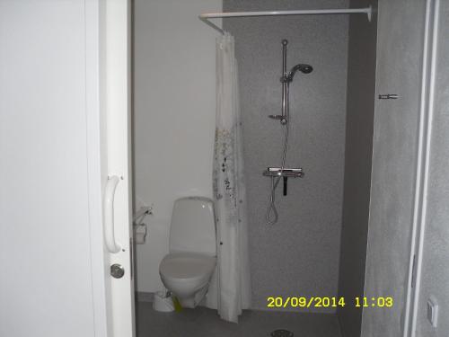 een kleine badkamer met een toilet en een douche bij Hellesvang in Guderup