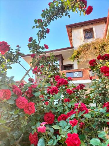 a bush of red roses in front of a house at Hotel Mary's House in Selcuk