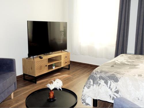 a living room with a flat screen tv and a bed at Studio tout confort à 2 pas du Château st Germain in Saint-Germain-en-Laye