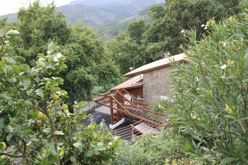 a house in the middle of a forest at Hotel Rural Misarela in Geres