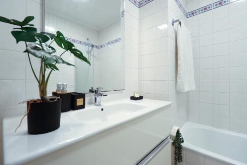 ein Badezimmer mit einem Waschbecken und einer Topfpflanze in der Unterkunft MIO Apartment by Madeira Sun Travel in Funchal