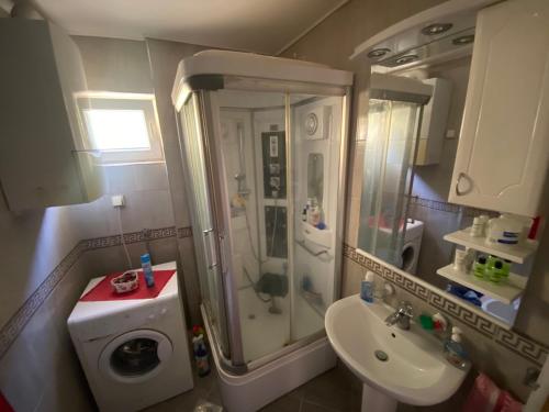 La petite salle de bains est pourvue d'une douche et d'un lavabo. dans l'établissement AM apartman Vrsac, à Vršac