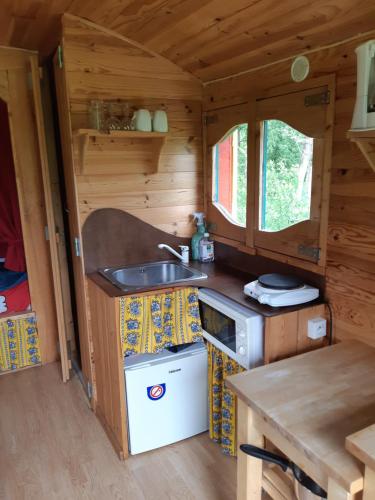 uma cozinha com um lavatório numa pequena casa em Roulotte de l'Aubetin em Saint-Augustin