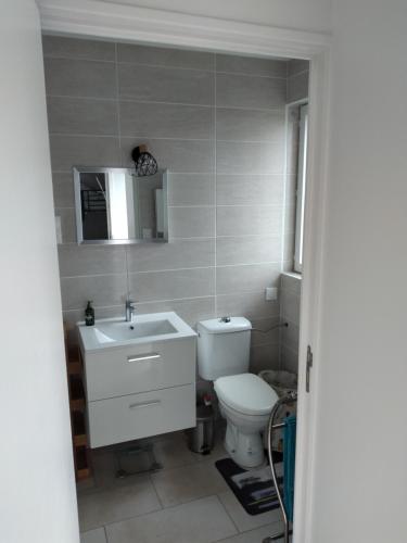 a bathroom with a toilet and a sink at Maison studio individuelle fraichement rénovée in Paray-le-Frésil