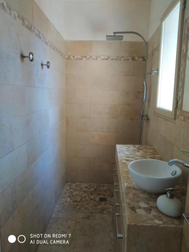 une salle de bain avec un lavabo et une douche dans l'établissement Proche Uzès petit gîte avec grande cuisine d'été et piscine, à Saint-Siffret