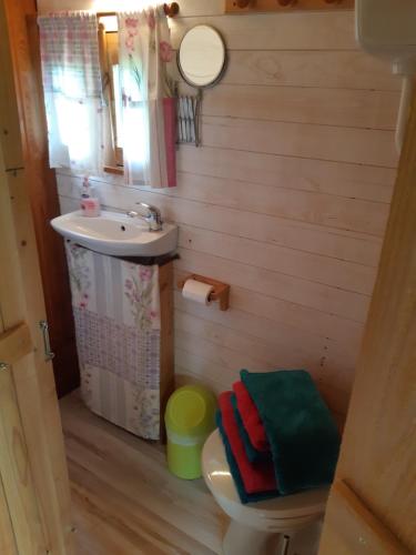 a small bathroom with a sink and a toilet at Roulotte de l'Aubetin in Saint-Augustin