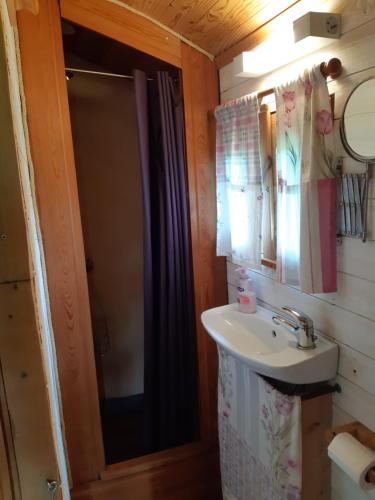 ein Bad mit einem Waschbecken und einer Dusche mit einem Spiegel in der Unterkunft Roulotte de l'Aubetin in Saint-Augustin