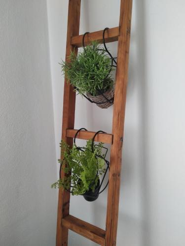 a wooden ladder with two potted plants on it at Niki Apartments Beach Loft in Platamonas