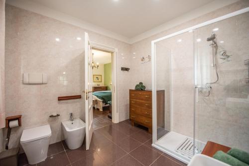 a bathroom with a shower and a toilet and a sink at The Green Owl in Antey-Saint-André