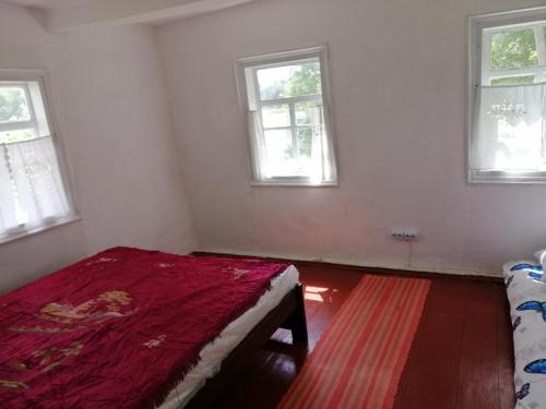 Dvozhets的住宿－У Катерини，白色的客房设有一张床和三个窗户。
