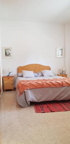 a bedroom with a large bed and a red rug at Apartamento C2 1Dormitorio in Lliria