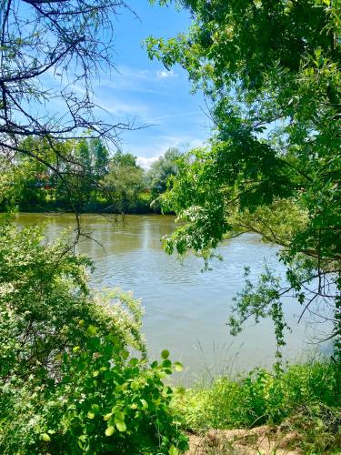 a view of a river from between trees at Pension Rohrer am Murradweg - Ehrenhausen an der Weinstrasse in Ehrenhausen