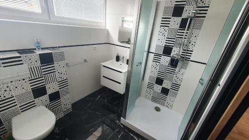 y baño con ducha, aseo y lavamanos. en V Jeseníku, en Jeseník