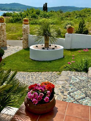 Κήπος έξω από το Casa de oro Alma