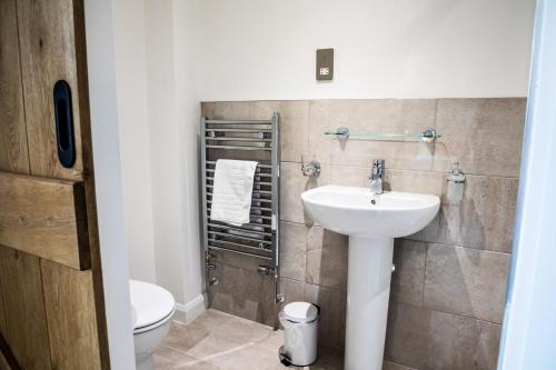 a bathroom with a sink and a toilet at 2 Bed Ground Floor Apartment - 7 Plas in Pistyll