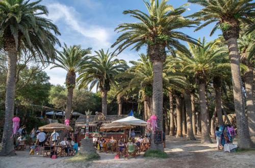 a group of palm trees with tables and chairs at Pierre & Vacances Menorca Cala Blanes in Cala en Blanes