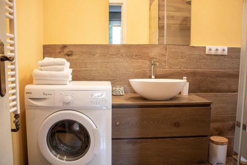 a bathroom with a washing machine and a sink at Apartamento tipo Loft in Ribes de Freser