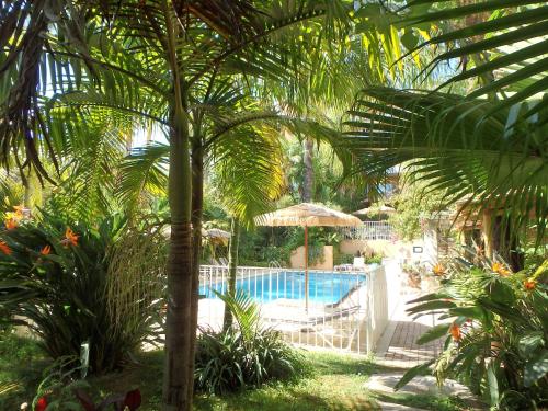 a pool in a garden with a palm tree at Residence Veles Plage in Cannes