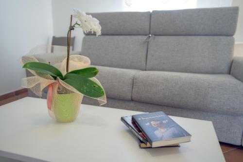 a book on a table next to a vase with a plant at Casa Madda in Ceglie Messapica