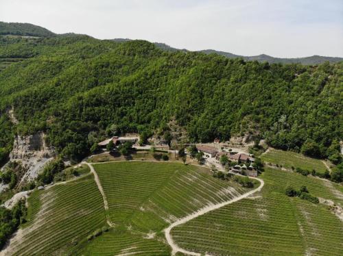 Spigno Monferrato的住宿－Cascina Bertolotto Wine Resort，高山上农场的空中景观