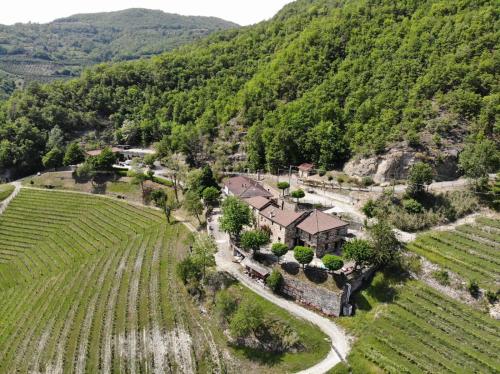 an aerial view of a house in a vineyard at Cascina Bertolotto Wine Resort in Spigno Monferrato