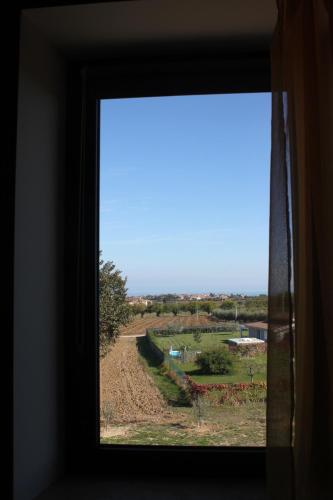 a window view of a field from a room at Il Granaio in Porto SantʼElpidio