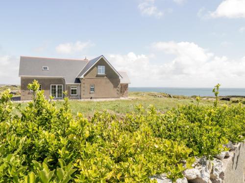 a house on a hill with the ocean in the background at Tí Tom Nárta in Trawbaun