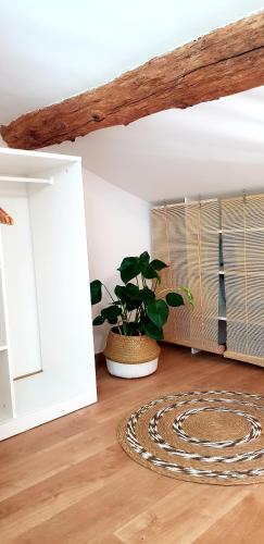 Cette chambre dispose de parquet et d'une plante en pot. dans l'établissement Studio Méditerranéenne, à Montpellier
